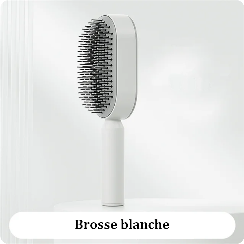 Brosse à Cheveux Auto Nettoyante