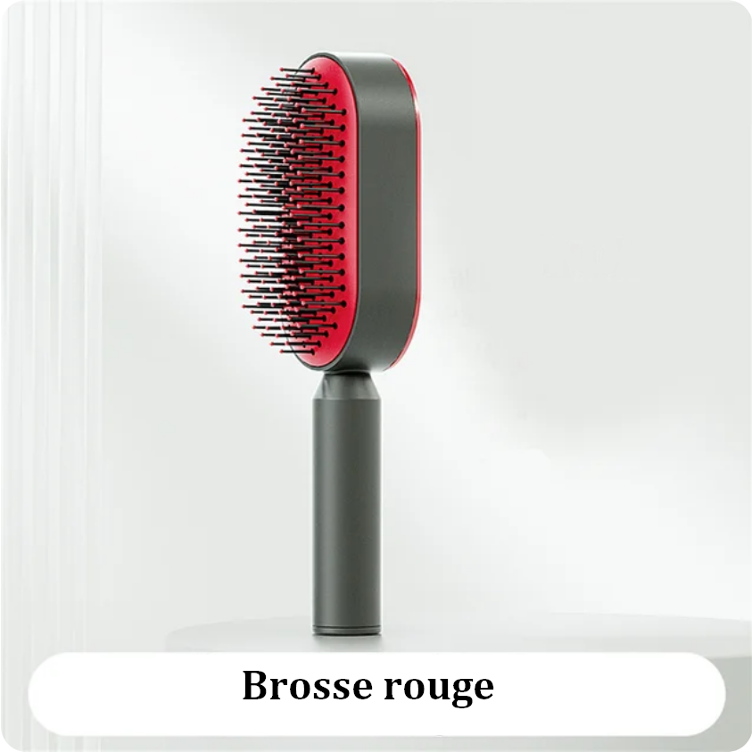 Brosse à Cheveux Auto Nettoyante